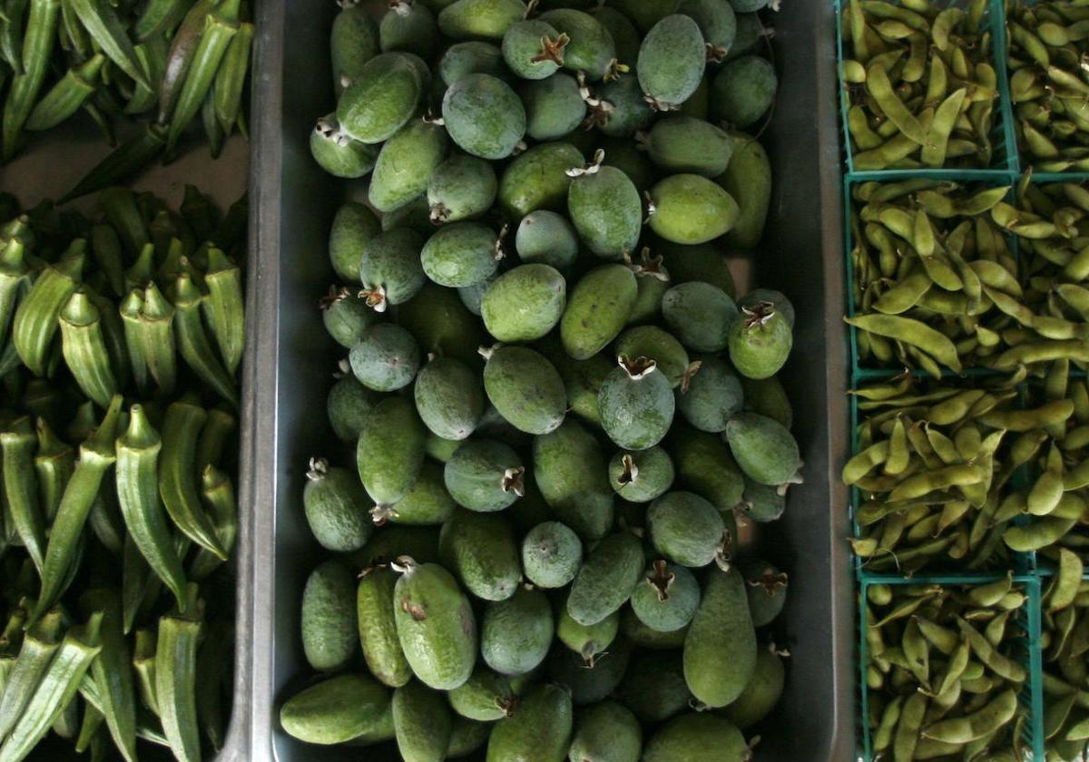 ADELGAZAR propiedades y beneficios de la OKRA La 'superverdura' que